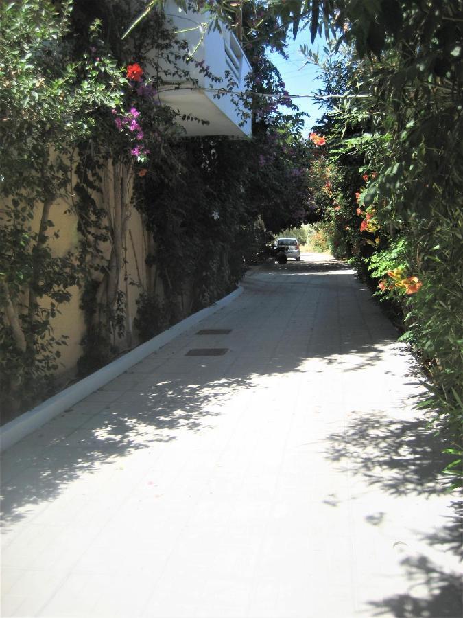 Corina Apartments Sitia  Buitenkant foto